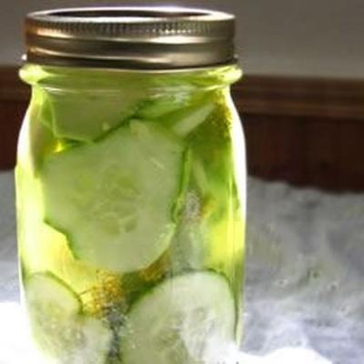 Kühlschrank Pickles