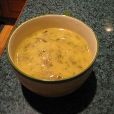 ultimative würzige Suppe
