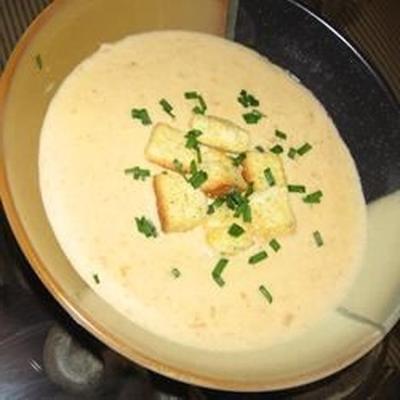 Outback Zwiebelsuppe