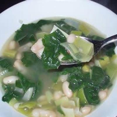 Spinat-Lauch-weiße Bohnensuppe