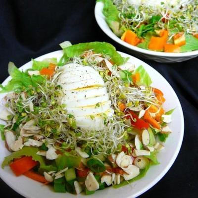 Vogelnest Salat