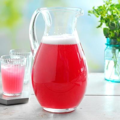 spritziger Rhabarber-Schorle