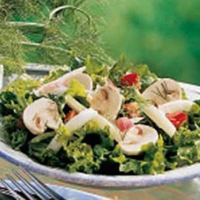 Fenchel, grüner Salat