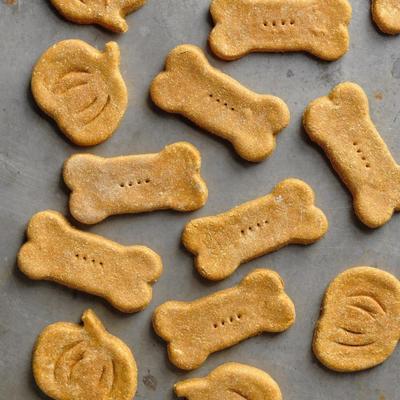 Kürbis-Ingwer-Hundekuchen