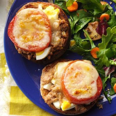 Superschneller Thunfisch schmilzt