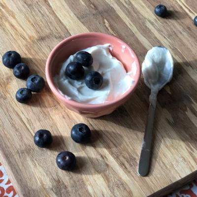 instant pot® griechischer joghurt