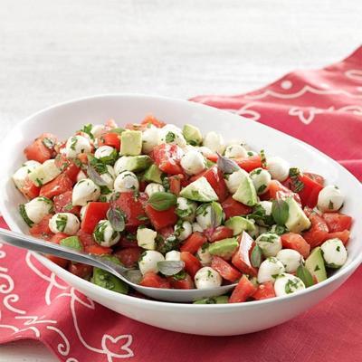 frischer Tomaten-Mozzarella-Salat Italiano