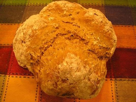 braunes Hafermehlsoda-Brot