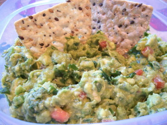 südamerikanischer Guacamole