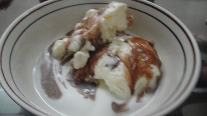 Marshmallow Fudge Eiscreme