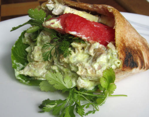 Sommer-Pita-Sandwich