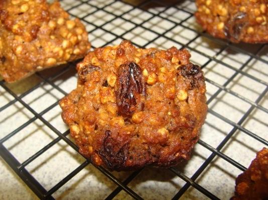 Haferkekse Rosinen-Rocco Dispirito