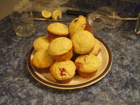 Cranberry Haferflocken und Joghurt-Muffins